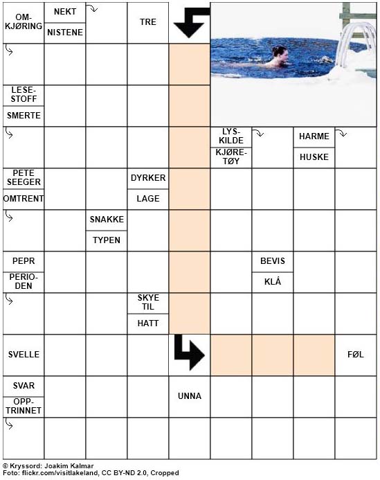 Dagens kryssord – 30. Desember – 2018
