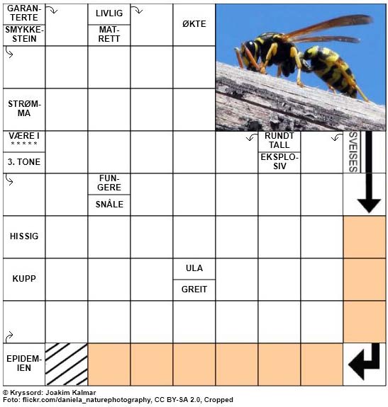Dagens kryssord - 30. Mai - 2018