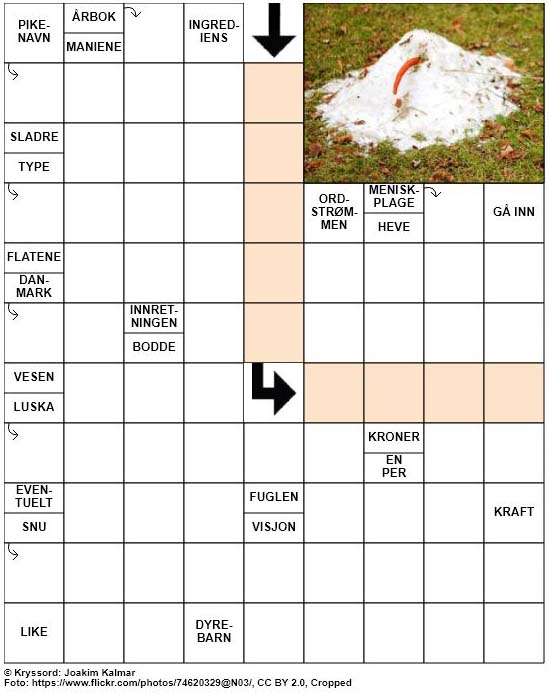 Dagens kryssord – 30. Mars – 2019
