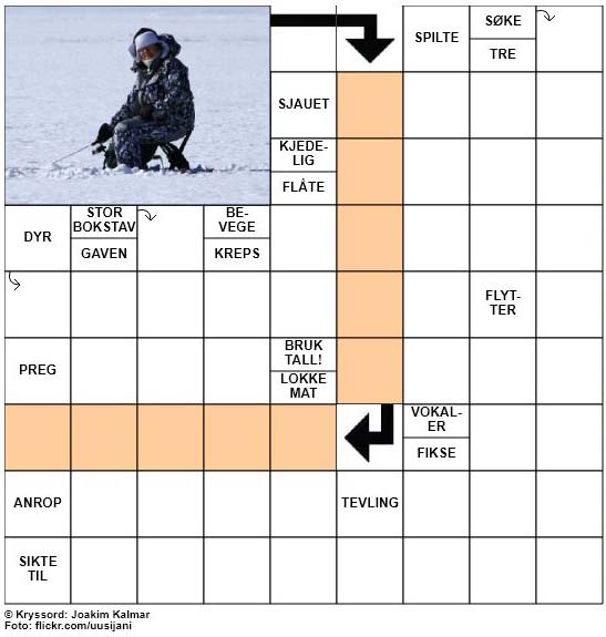 Dagens kryssord - 30. November - 2017