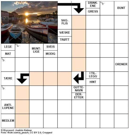 Dagens kryssord - 31. August - 2018