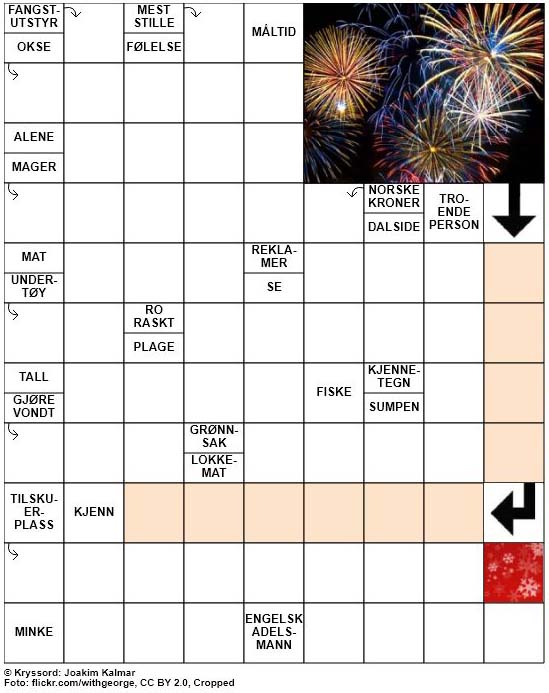 Dagens kryssord – 31. Desember – 2018
