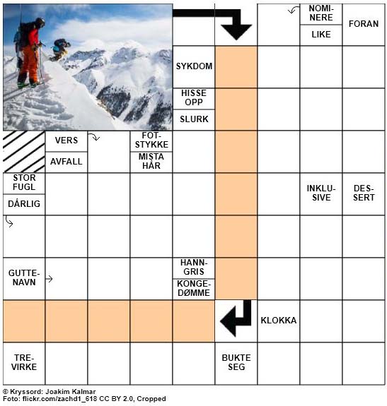 Dagens kryssord - 31. Januar - 2018