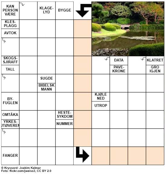 Dagens kryssord - 4. August - 2018
