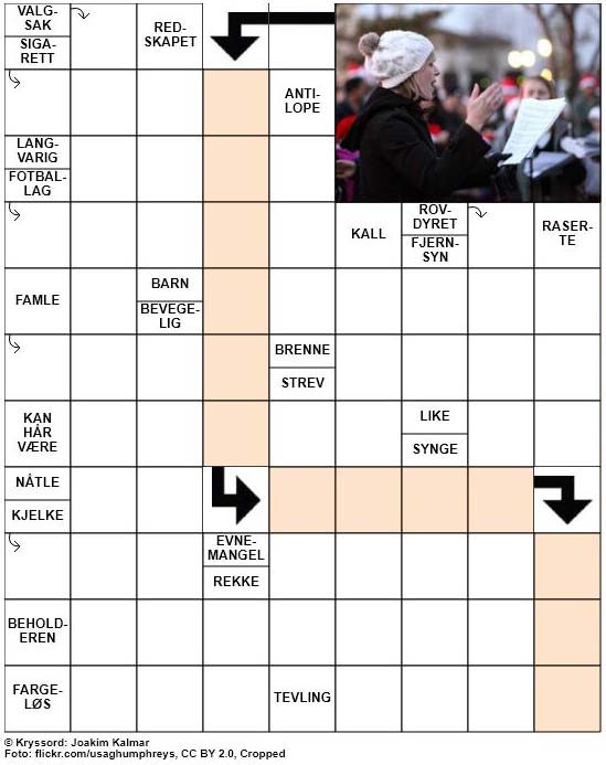 Dagens kryssord – 4. Desember – 2018