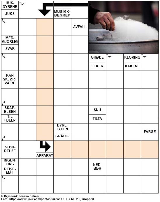 Dagens kryssord – 4. Februar – 2019