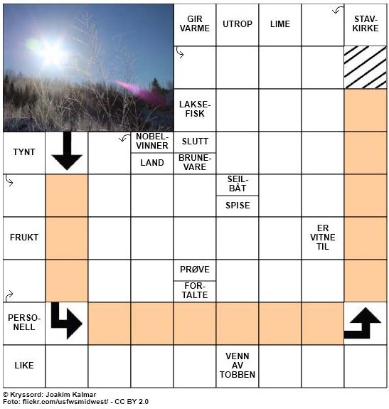 Dagens kryssord - 4. Januar - 2018