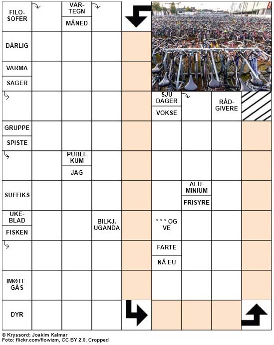 Dagens kryssord – 4. Januar – 2019