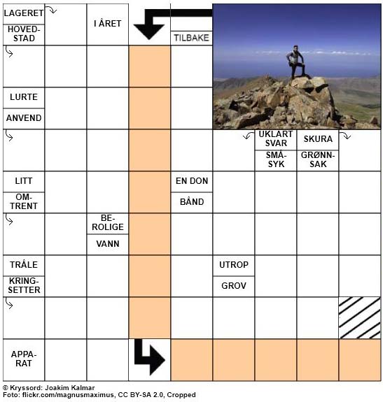 Dagens kryssord - 4. Juli - 2018