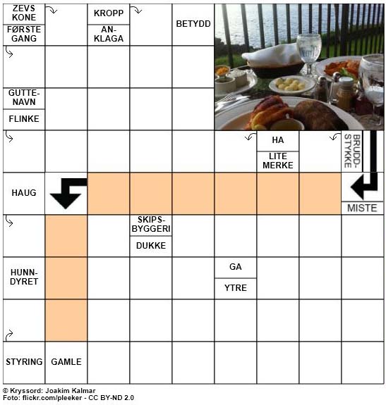 Dagens kryssord - 4. Mai- 2018