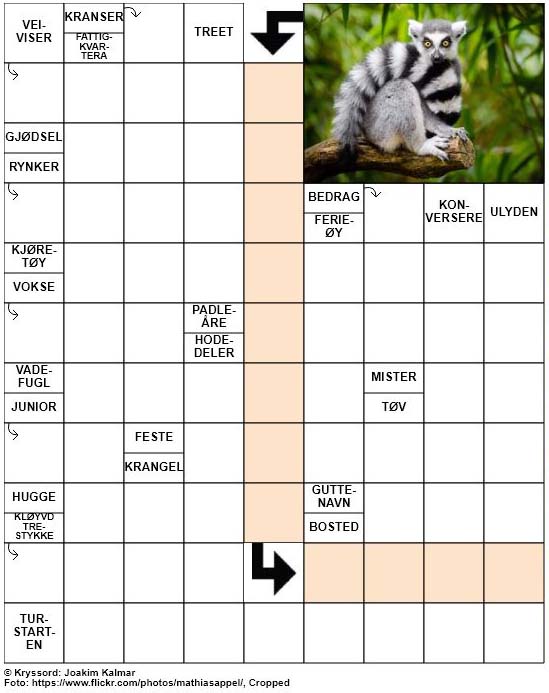 Dagens kryssord – 4. Mars – 2019