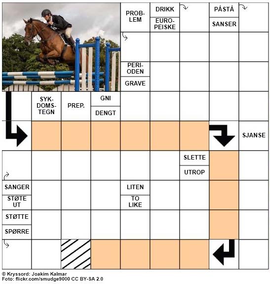 Dagens kryssord - 4. November - 2017