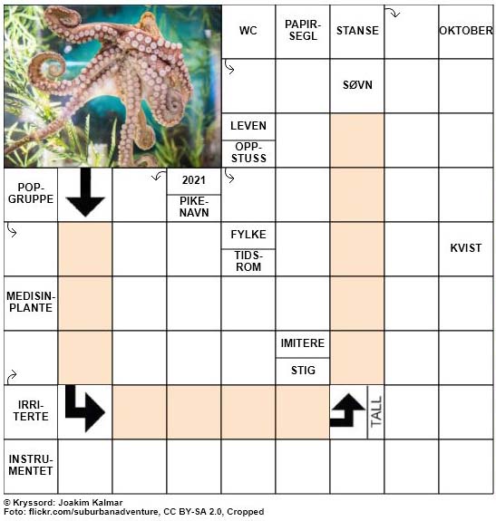 Dagens kryssord - 4. September - 2018