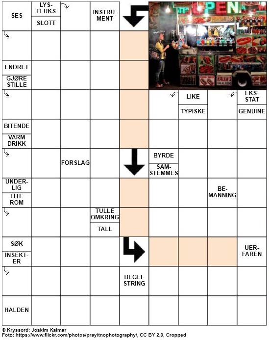 Dagens kryssord – 5. April – 2019