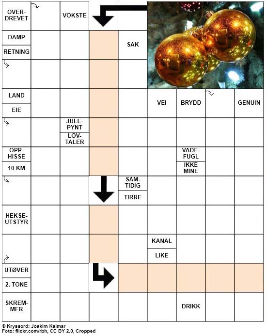 Dagens kryssord – 5. Desember – 2018
