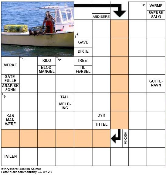 Dagens kryssord - 5. November - 2017