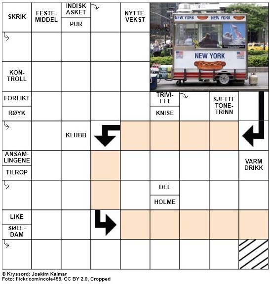 Dagens kryssord – 5. November – 2018