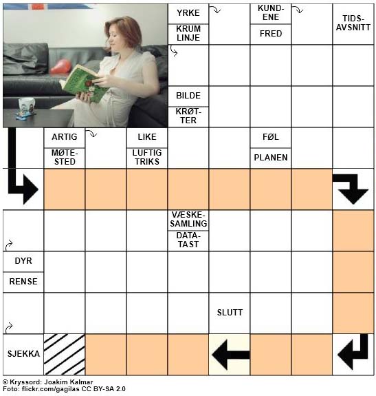 Dagens kryssord - 5. September - 2017