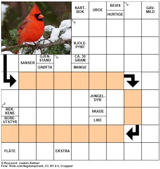 Dagens kryssord - 6. Februar - 2018