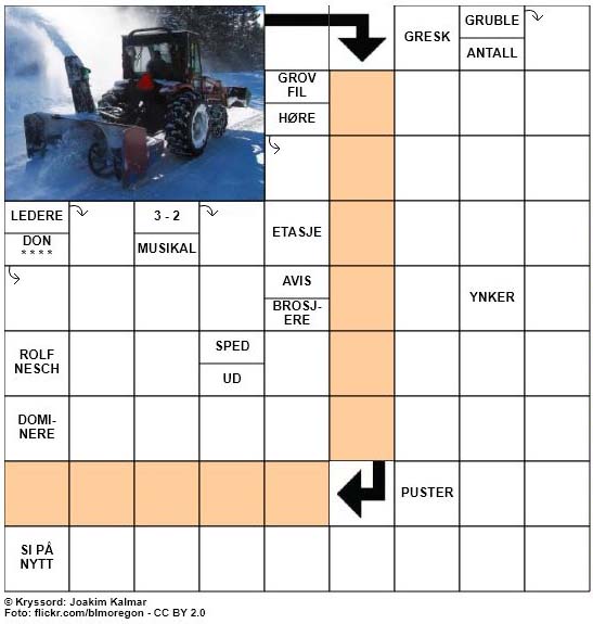 Dagens kryssord - 6. Januar - 2018
