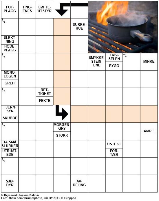 Dagens kryssord – 6. Januar – 2019