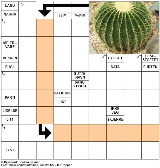 Dagens kryssord - 6. Juni - 2018