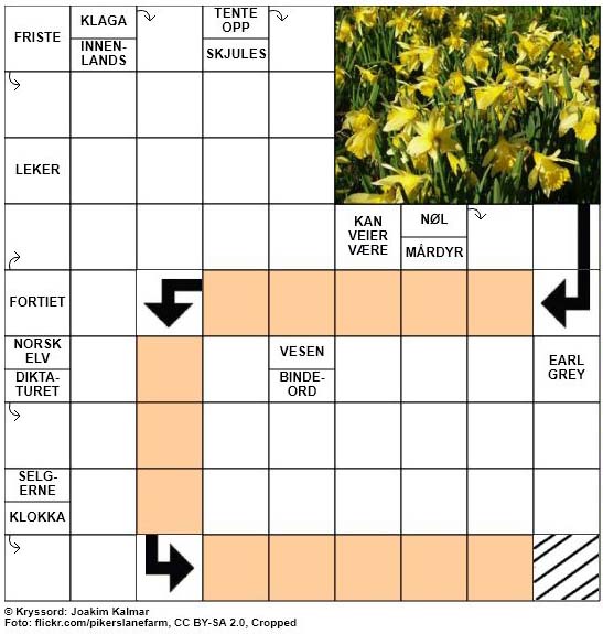 Dagens kryssord - 6. Mars - 2018