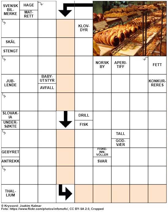 Dagens kryssord – 6. Mars – 2019
