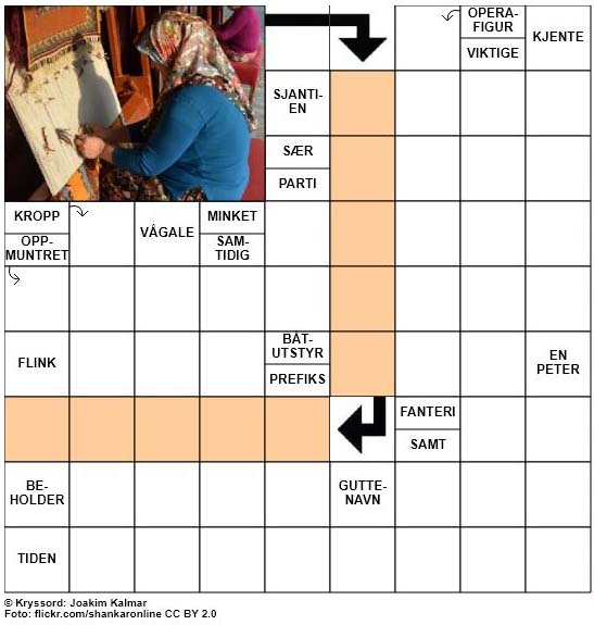 Dagens kryssord - 6. November - 2017