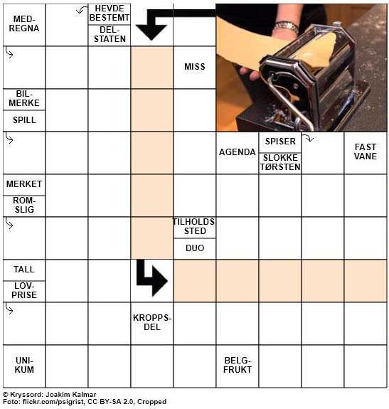 Dagens kryssord - 7. August - 2018