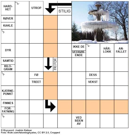 Dagens kryssord - 7. Februar - 2018