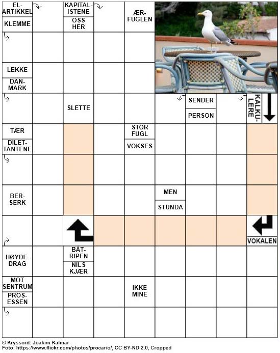 Dagens kryssord – 7. Februar – 2019