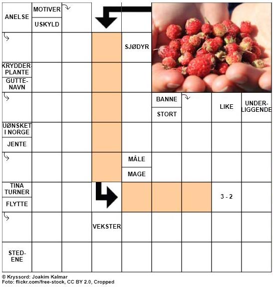 Dagens kryssord - 7. Juni - 2018