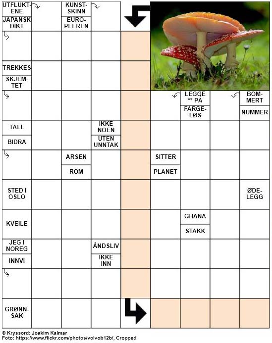 Dagens kryssord – 7. Mars – 2019