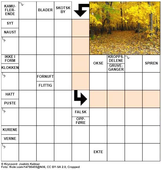 Dagens kryssord – 7. Oktober – 2018