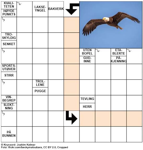 Dagens kryssord - 7. September - 2018