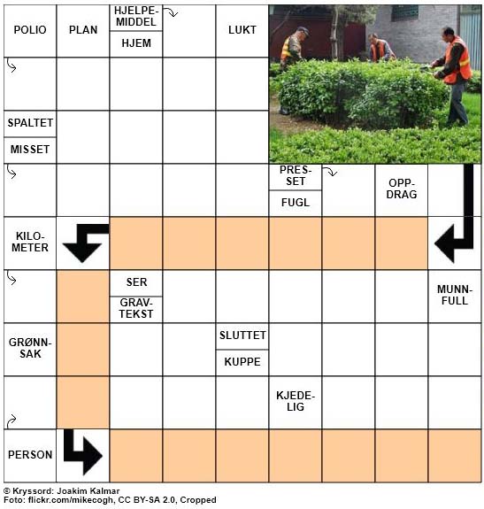 Dagens kryssord - 8. April - 2018