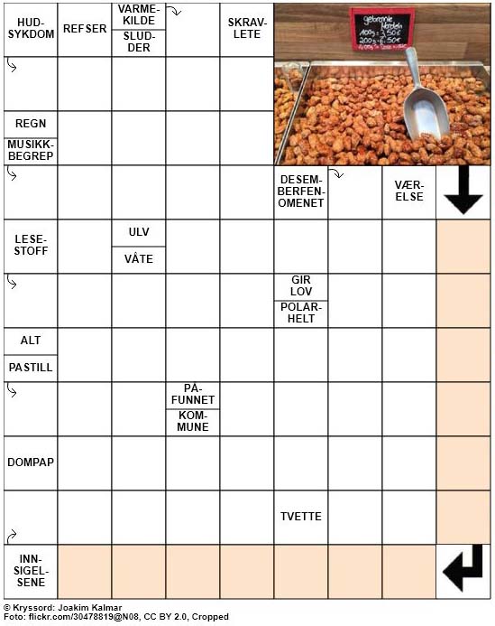 Dagens kryssord – 8. Desember – 2018