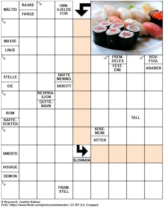 Dagens kryssord – 8. Februar – 2019