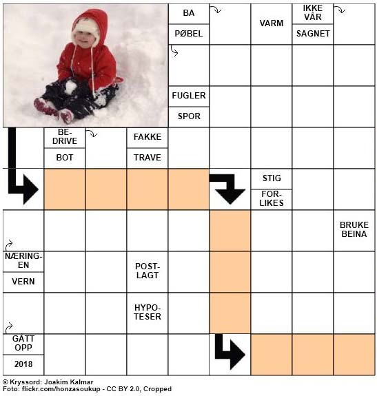 Dagens kryssord - 8. Januar - 2018