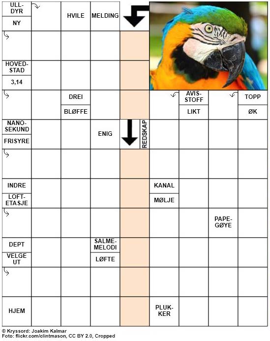 Dagens kryssord – 8. Januar – 2019