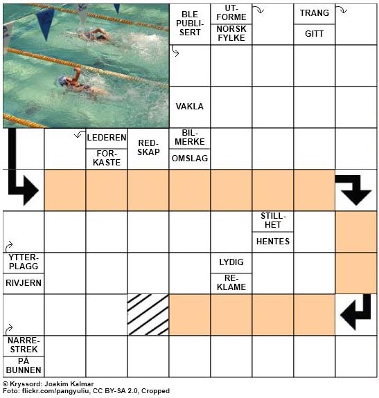 Dagens kryssord - 8. Juni - 2018