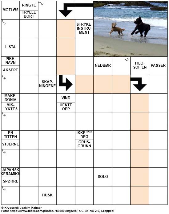 Dagens kryssord – 8. Mai – 2019