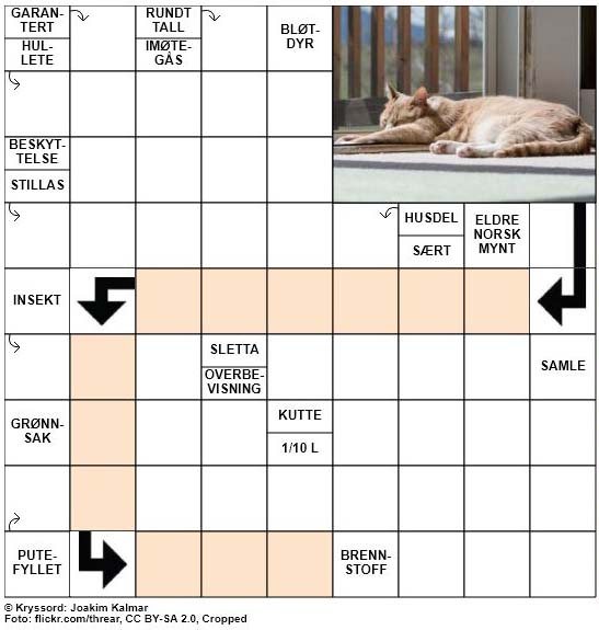 Dagens kryssord - 8. Mars - 2018