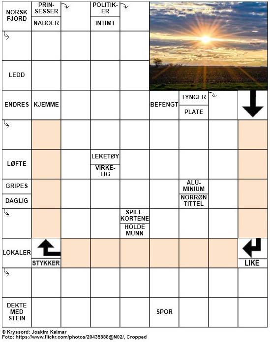 Dagens kryssord – 8. Mars – 2019