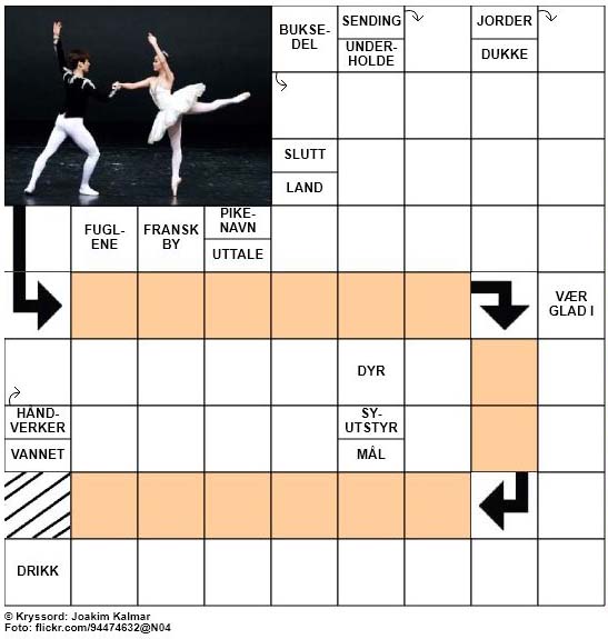 Dagens kryssord - 8. November - 2017
