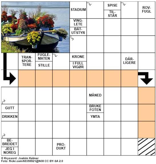 Dagens kryssord - 8. Oktober - 2017