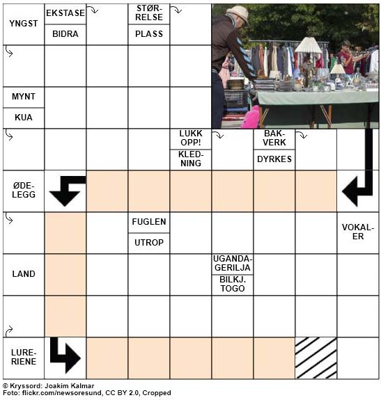 Dagens kryssord - 8. September - 2018