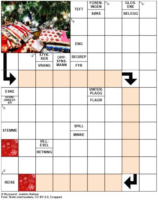 Dagens kryssord – 9. Desember – 2018