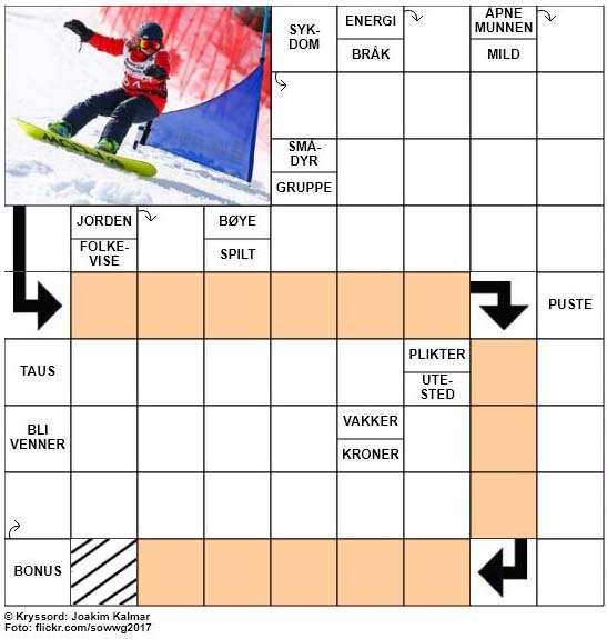 Dagens kryssord - 9. Februar - 2018